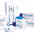 Траумель С