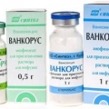 Ванкорус