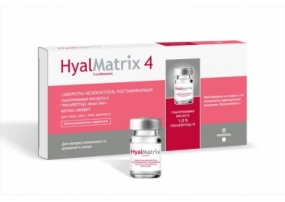 Гиалматрикс 4