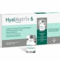 Гиалматрикс 6