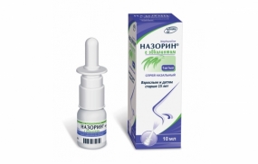 Назорин с эвкалиптом