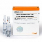 Тестис Композитум